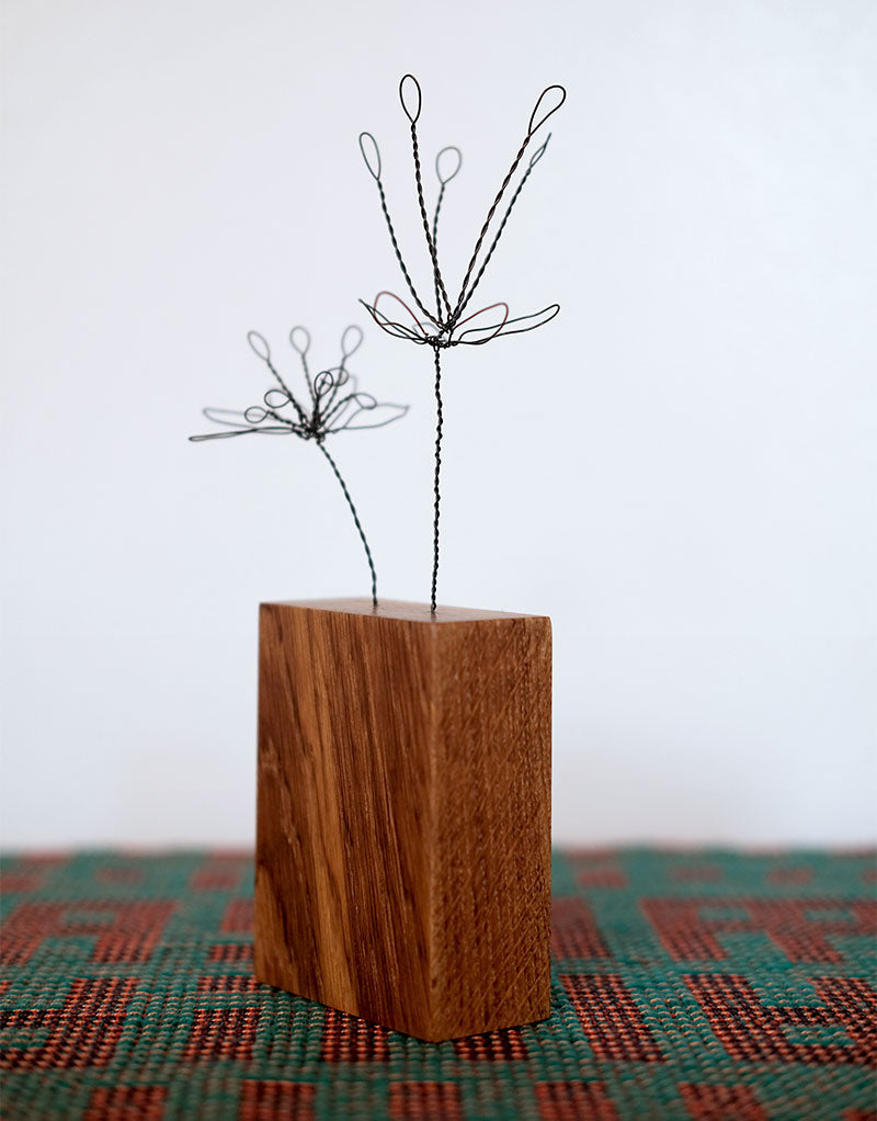 Steel Botanical Wire Drawing: Double Caesalpinia