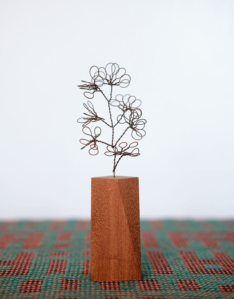 Steel Botanical Wire Drawing: Abstract Buxus