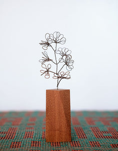 Steel Botanical Wire Drawing: Abstract Buxus