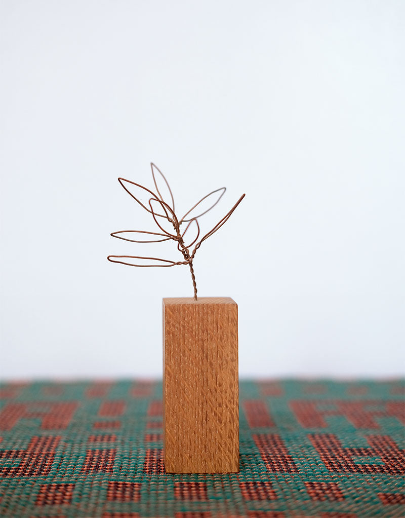 Copper Botanical Wire Drawing: Schefflera