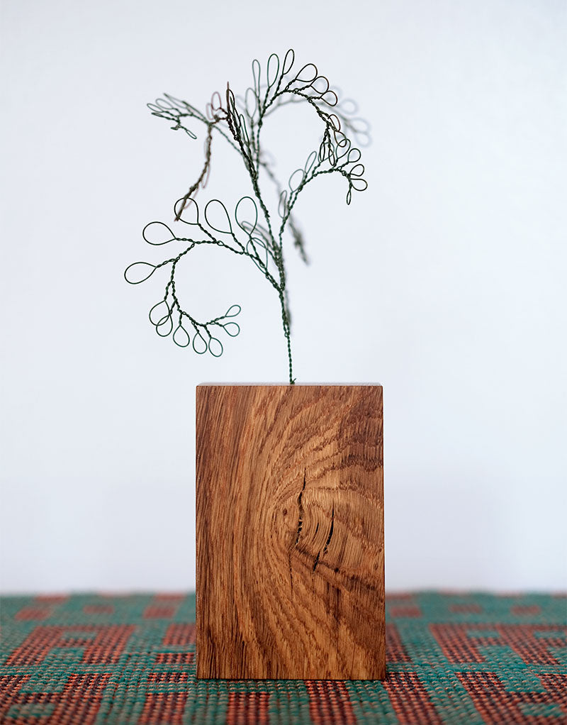Botanical Wire Drawing: Curly Fern